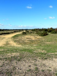 Oct 2013: 16 looking west from central cross